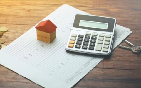 Terreno fértil para el crecimiento de los Créditos UVA